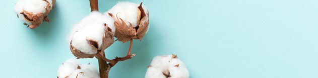 Comprar ropa ecológica de algodón orgánico Comprar ropa ecológica de algodón orgánico