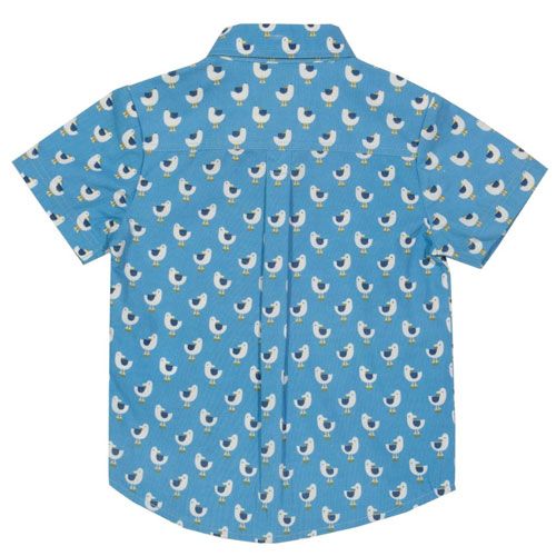 Camisa 100% algodón orgánico niños Camisa 100% algodón orgánico niños, para piel sensible