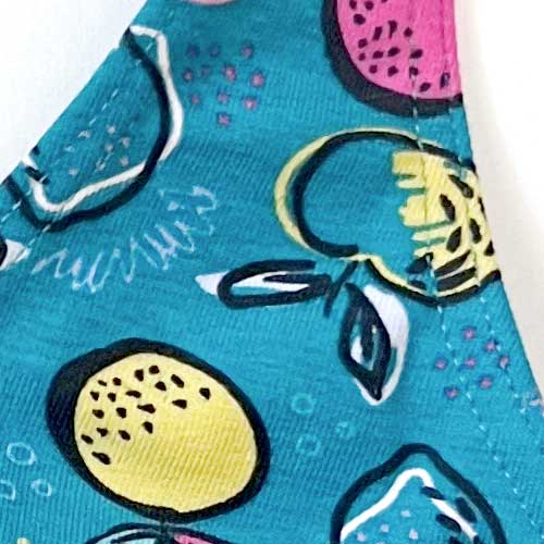 Sujetador Bikini algodón orgánico Frutas