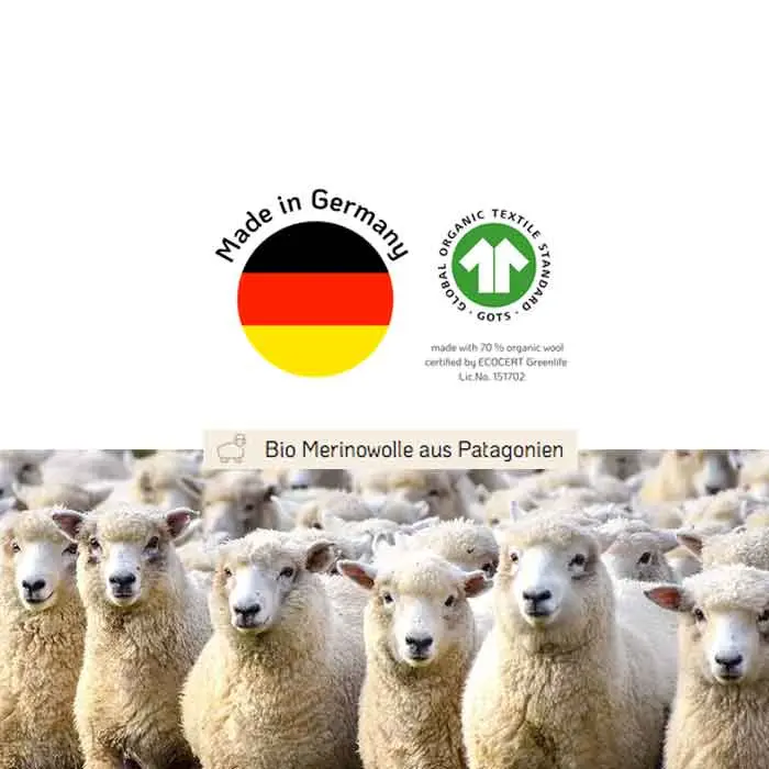 certificado-engel
