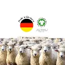 certificado-engel