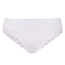 Organic cotton lingerie brief, transparent