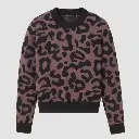 100% Organic Cotton Sweater PISTIA LEO