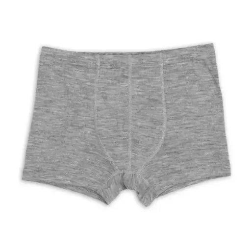 Merino wool and silk boxer shorts